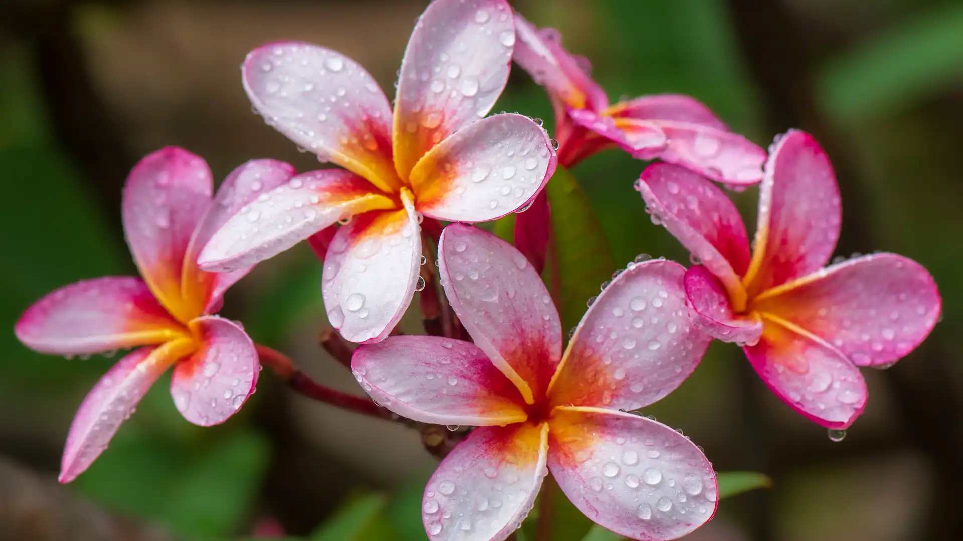 /images/wallpaper/2025-05-02.jpg.webp /images/wallpaper/2025-05-02.jpg.webp