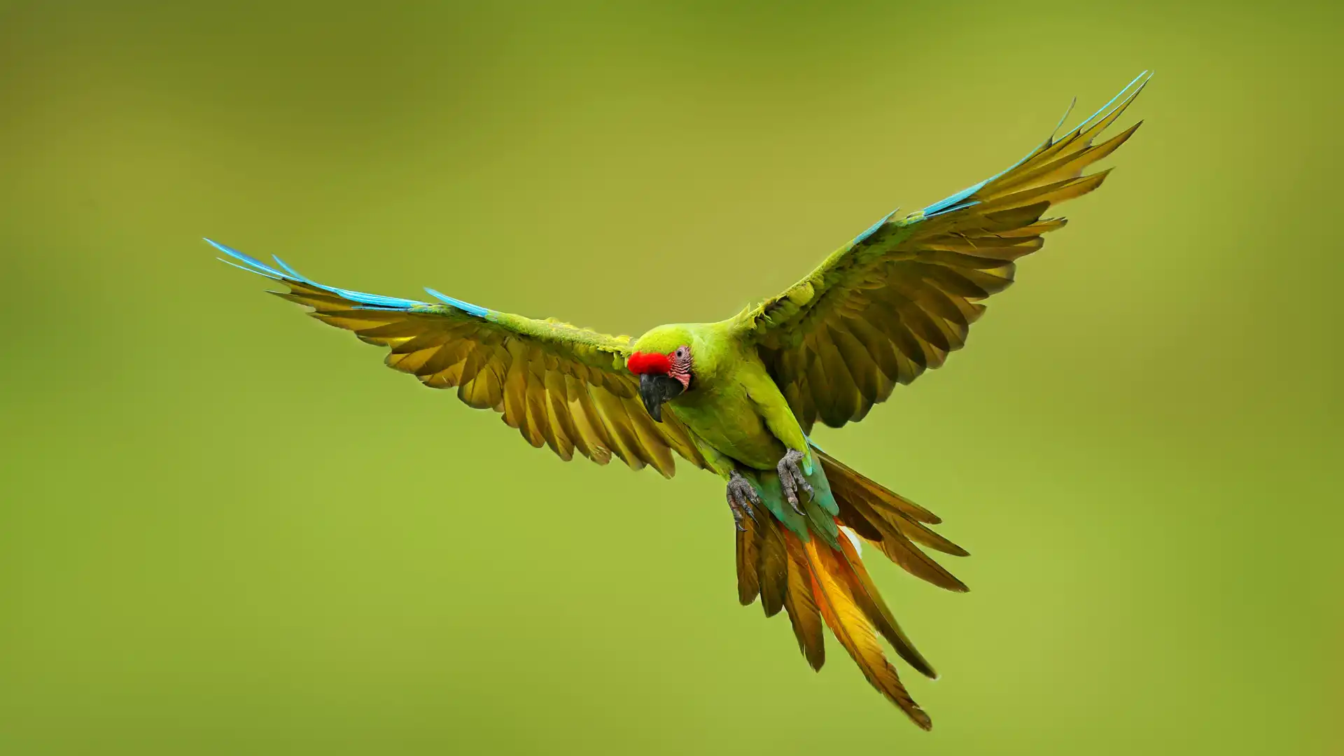 /images/wallpaper/2025-05-17.jpg.webp /images/wallpaper/2025-05-17.jpg.webp